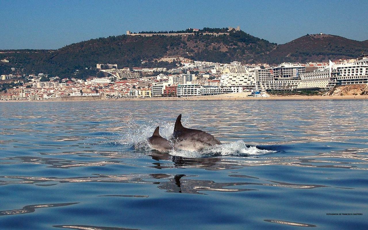 Felp Sesimbra Beach 1006 Kültér fotó